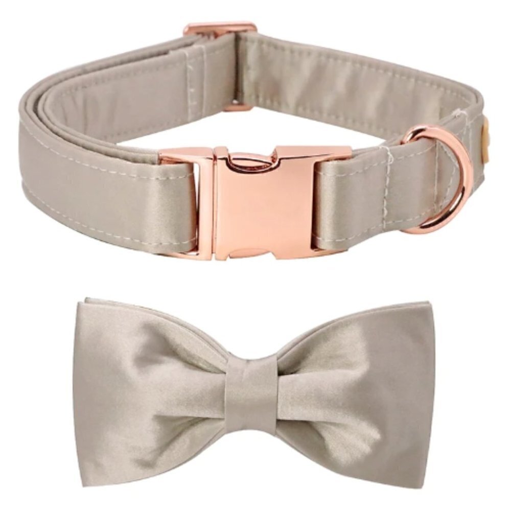 NEW Champagne Silk Bow Dog Collar Unisex